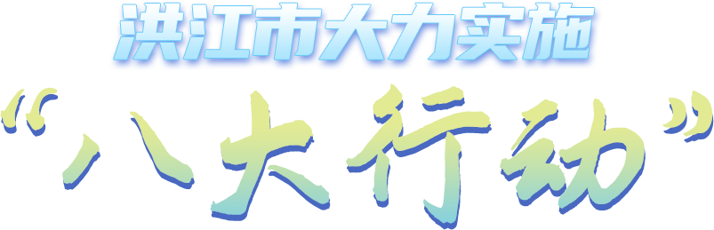 洪江市大力实施“八大行动”