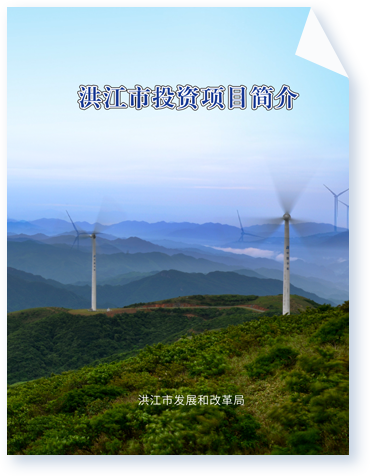 洪江市投资项目简介
