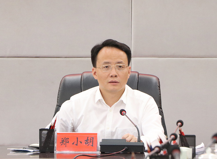 郑小胡抓整治抓提升抓突破持续推进农村人居环境整治提升工作