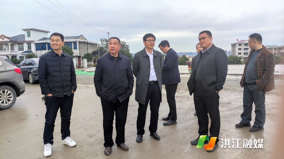 市领导现场督导安江镇人居环境整治工作